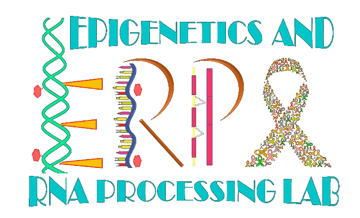 ERPL Lab Logo